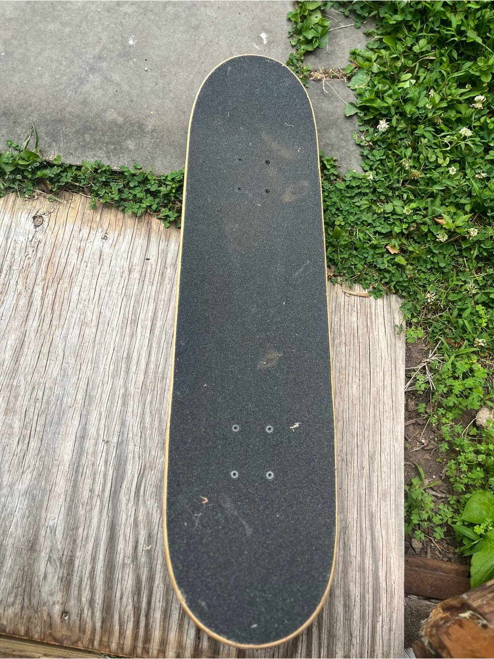 Santa Cruz skateboard